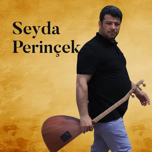 Poster for Şeyda Perinçek