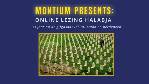 Poster for Online Lezing: Halabja - 33 jaar na de gifgasaanval, stilstaan en herdenken