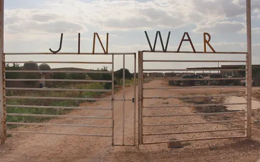 Poster for Jinwar