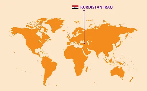 Poster for Kurdish cookery class with Ali | Bristol | Veg friendly