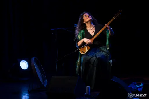 Poster for masterclass avec Shadi Fathi / Les musiques kurde et iranienne